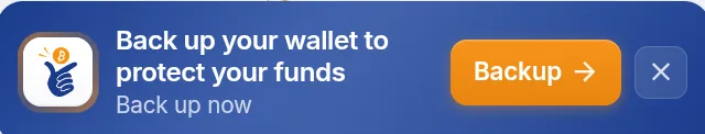 Coinsnap Wallet reminder to back up your wallet to protect your funds