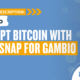Coinsnap for Gambio