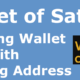 Wallet of Satoshi – Bitcoin wallet with Lightning address