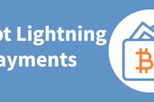 Accept lightning payments