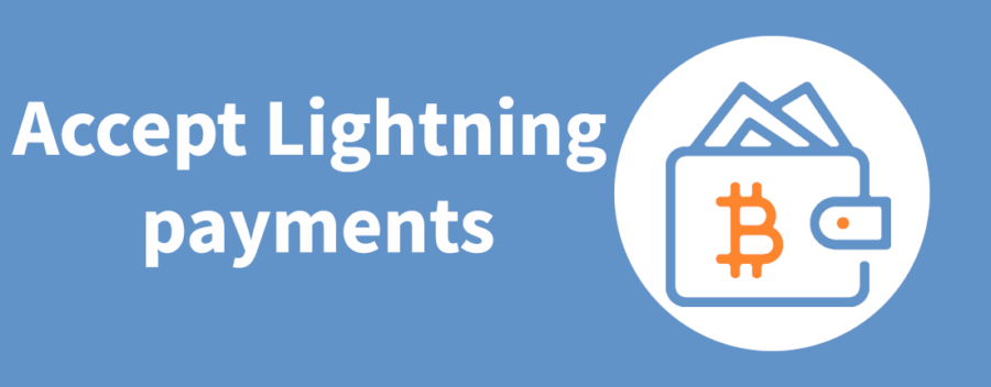 Accept lightning payments