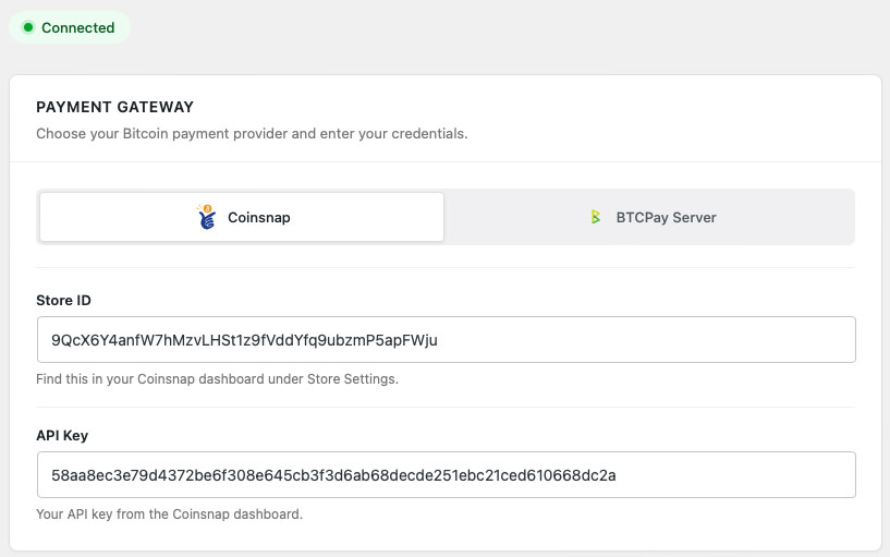 Coinsnap plugin configuration screen showing the payment gateway settings with Store ID and API Key fields used to connect a website or online store to a Coinsnap account.
