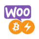 Bitcoin akzeptieren in WooCommerce