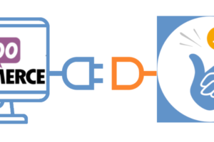 Coinsnap for WooCommerce Installationsanleitung: Bitcoin akzeptieren mit WooCommerce