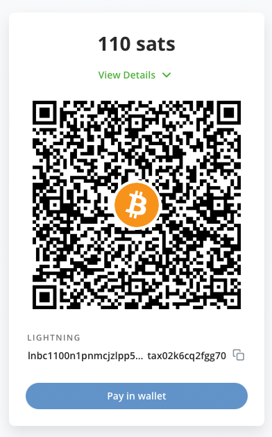 Coinsnap Bitcoin-Lightning payment QR code in WPForms