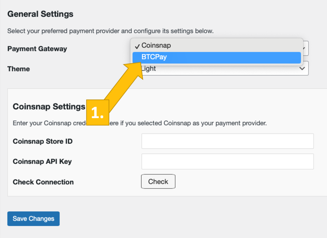 Choose BTCPay Server