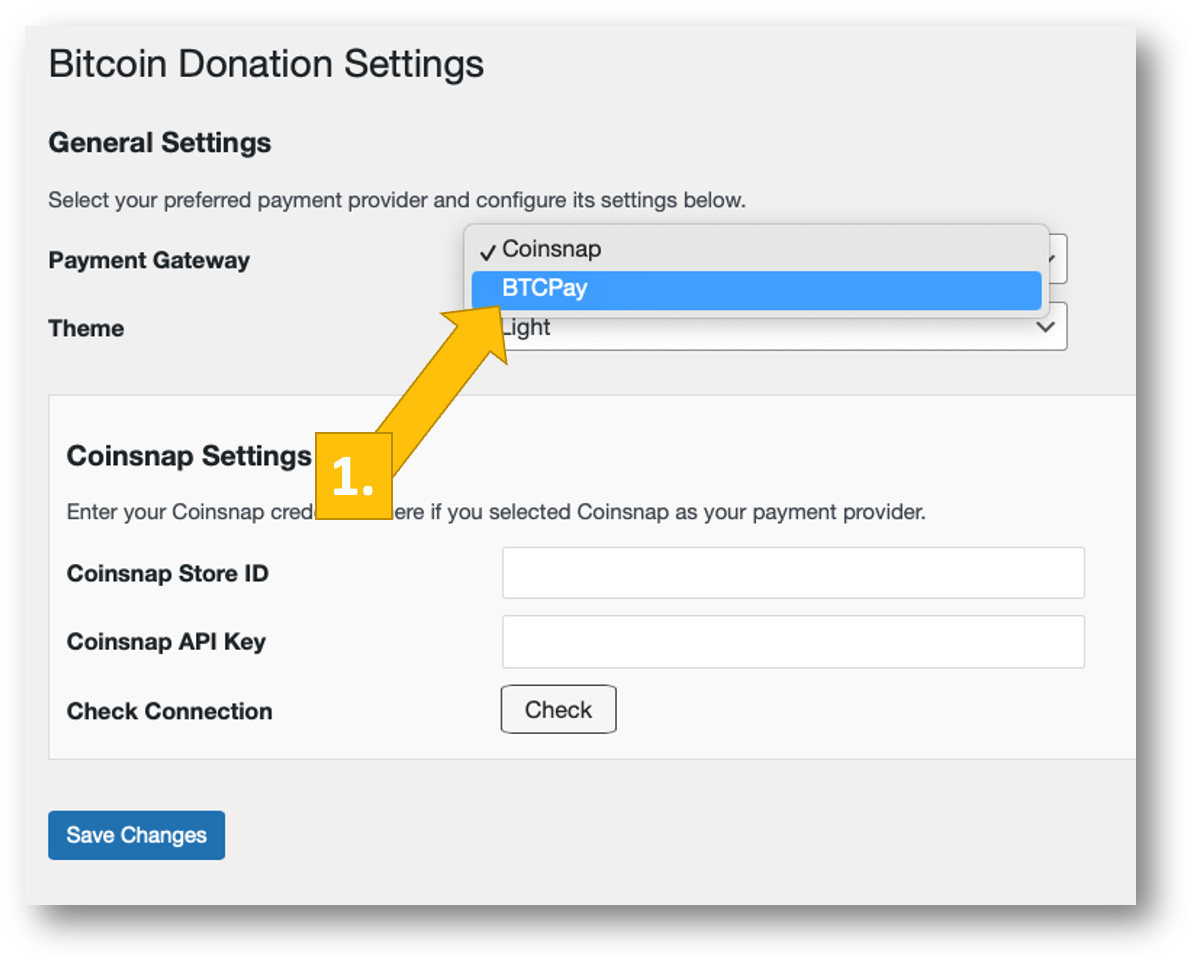 choosing-btcpay-server Choosing the BTCPay Server