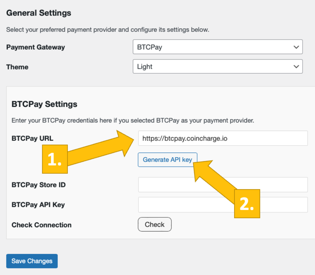 Start BTCPay Server wizard