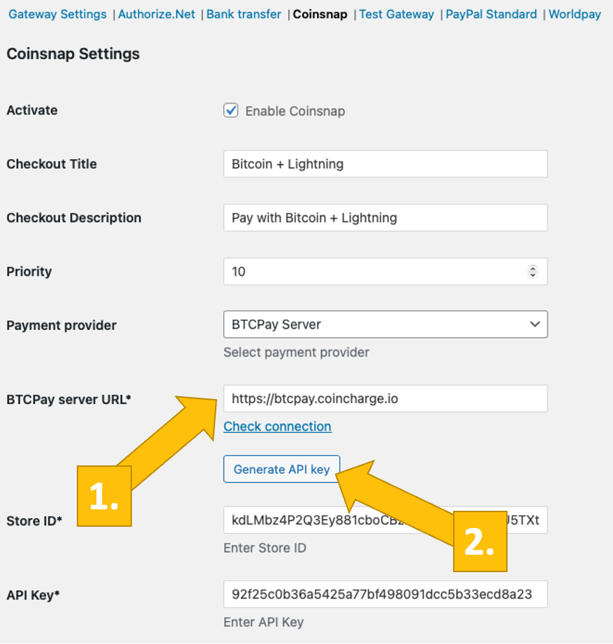 Coinsnaps BTCPay Server-Wizzard starten