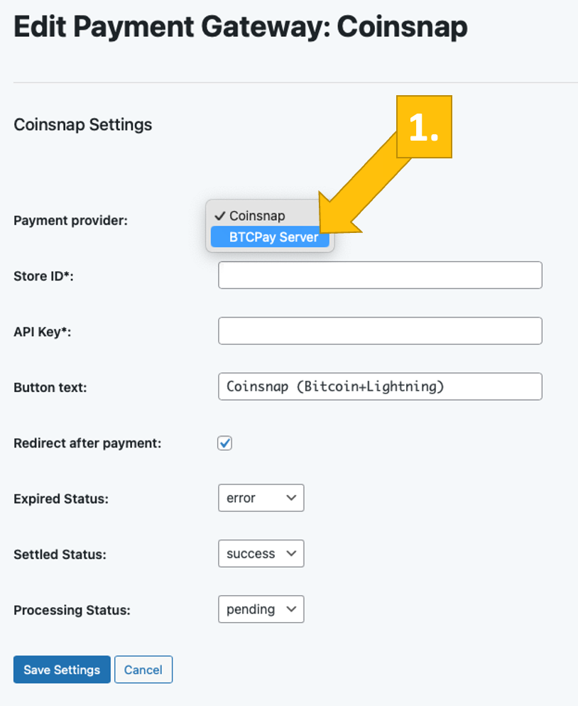 choose-btc-pay-server Choose BTCPay Server