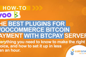 Best Plugins for WooCommerce Bitcoin Payment with BTCPay Server