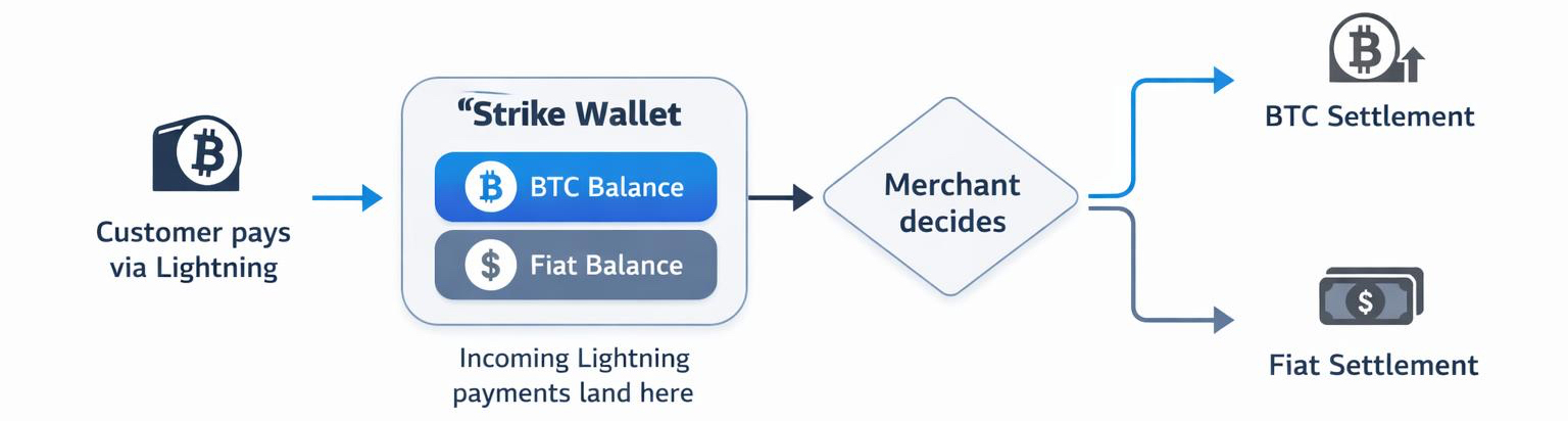 Strike — Global Reach with Optional BTC Holding