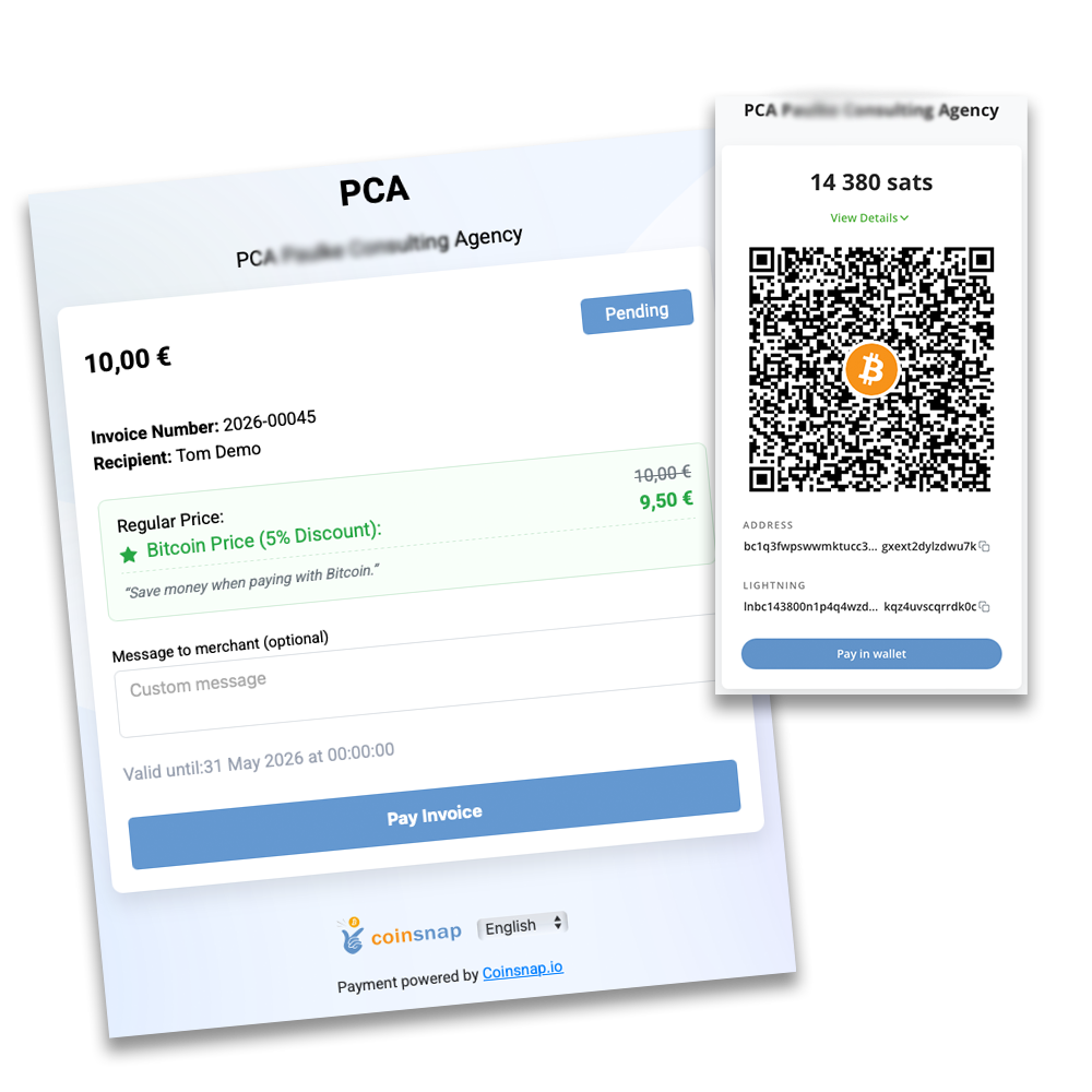 Payment Link payment interface
