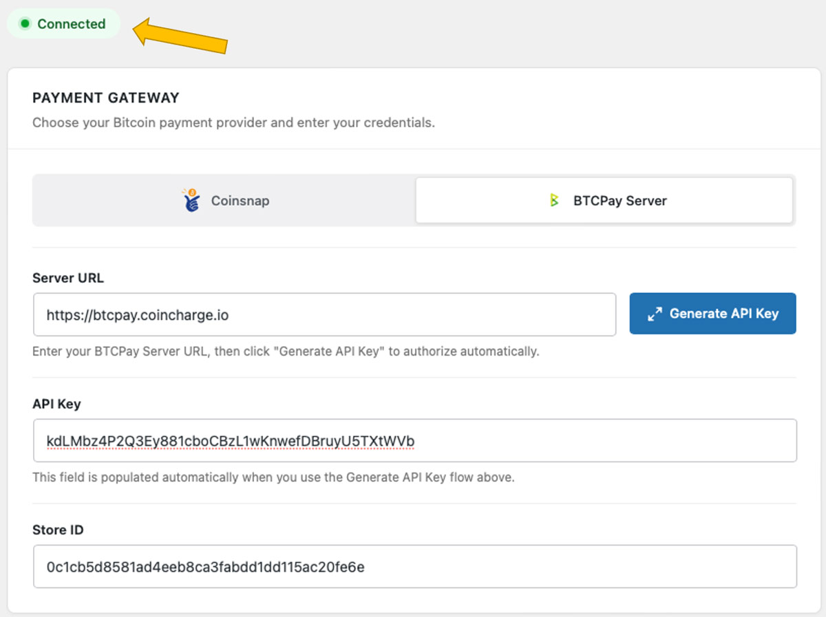 BTCPay Server connection with Coinsnap plugin established