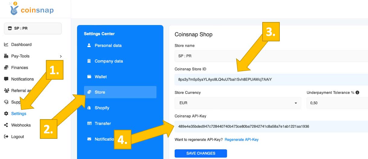 Retrieve your Coinsnap Store ID and API Key