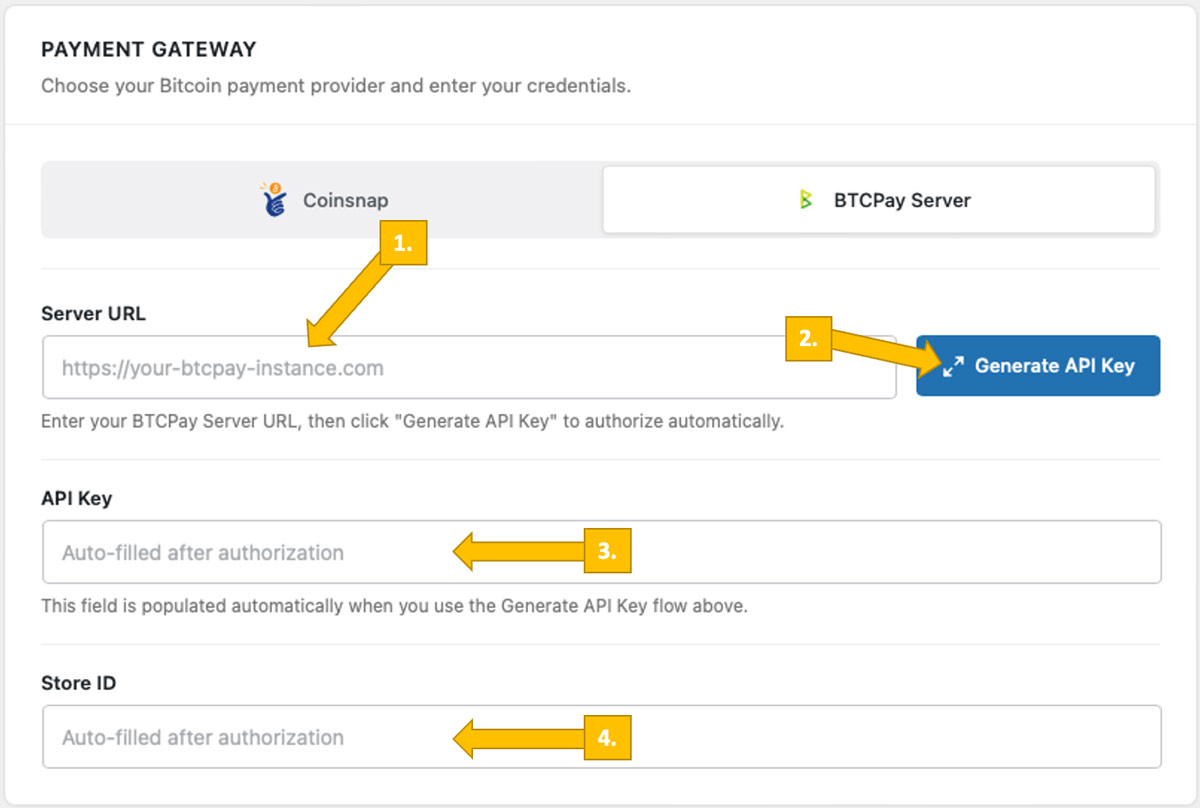 Set BTCPay Server credentials with the Coinsnap wizard
