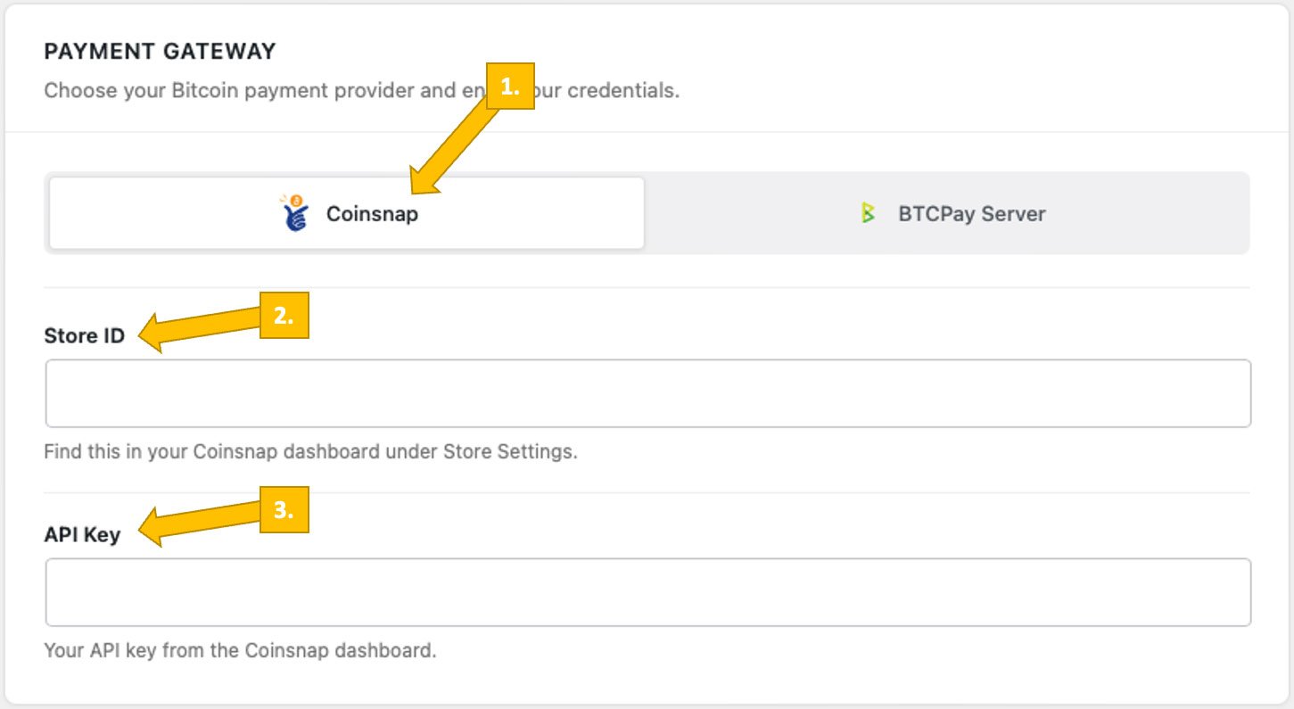 Enter Store ID and API Key to connect the plugin with your account 