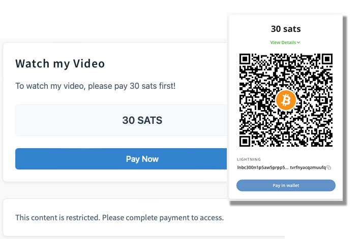 Instant Access with a Simple Bitcoin Payment