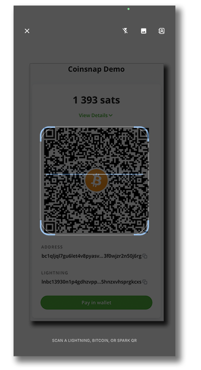 Coinsnap Bitcoin Wallet scanning a Bitcoin Lightning payment QR code
