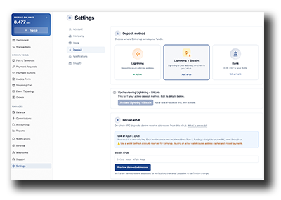 Coinsnap POS Dashboard Deposit settings for receiving payments via Lightning and Bitcoin on-chain with an xPub.