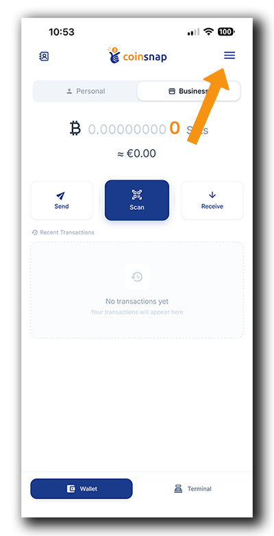 Coinsnap Terminal Setup – Open Wallet Settings