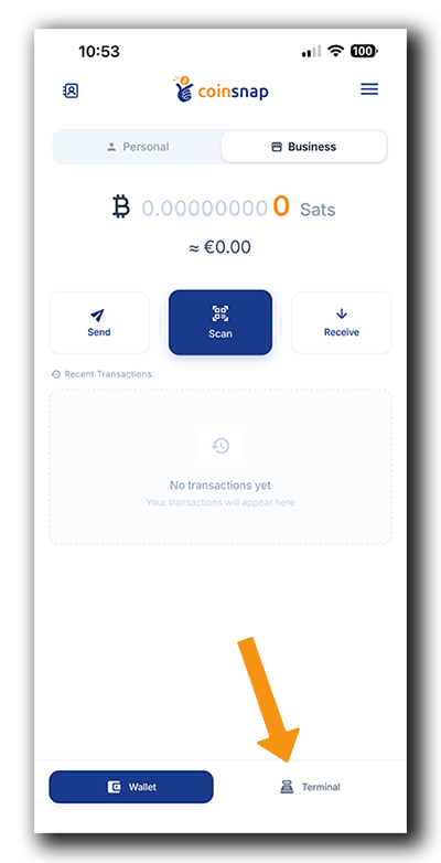Coinsnap Terminal: Open the Terminal section from the Business wallet to start accepting Bitcoin payments.