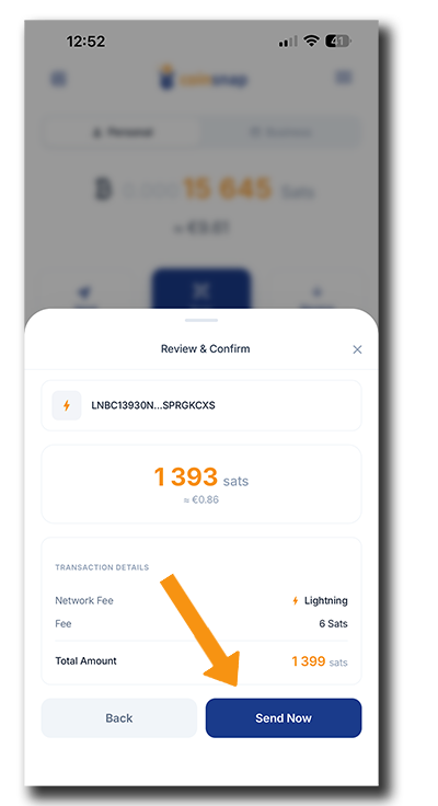Coinsnap Bitcoin Wallet confirming a 1,393 sats Lightning payment before sending