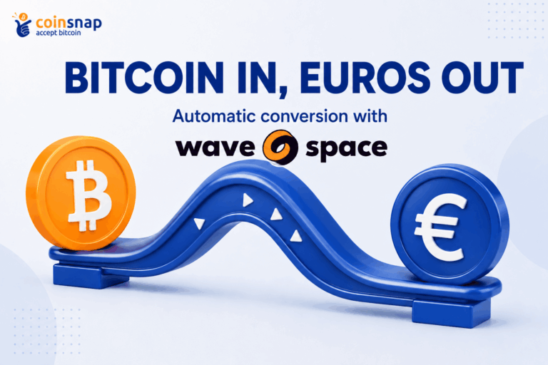 Bitcoin and euro coin connected by a seesaw with the wave.space logo